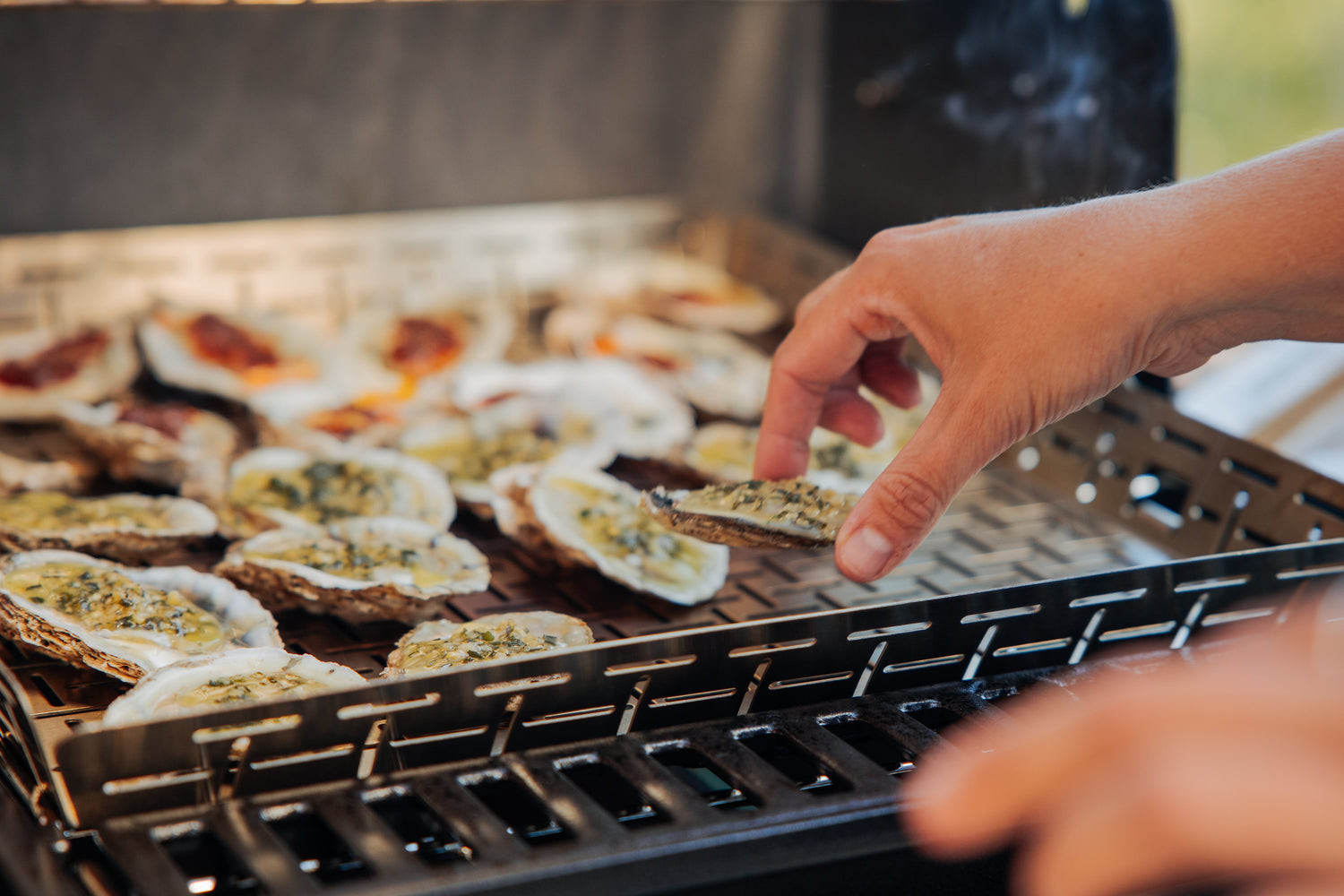 All Purpose Accessories