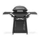 Weber Family Q3200N+ Premium Barbecue