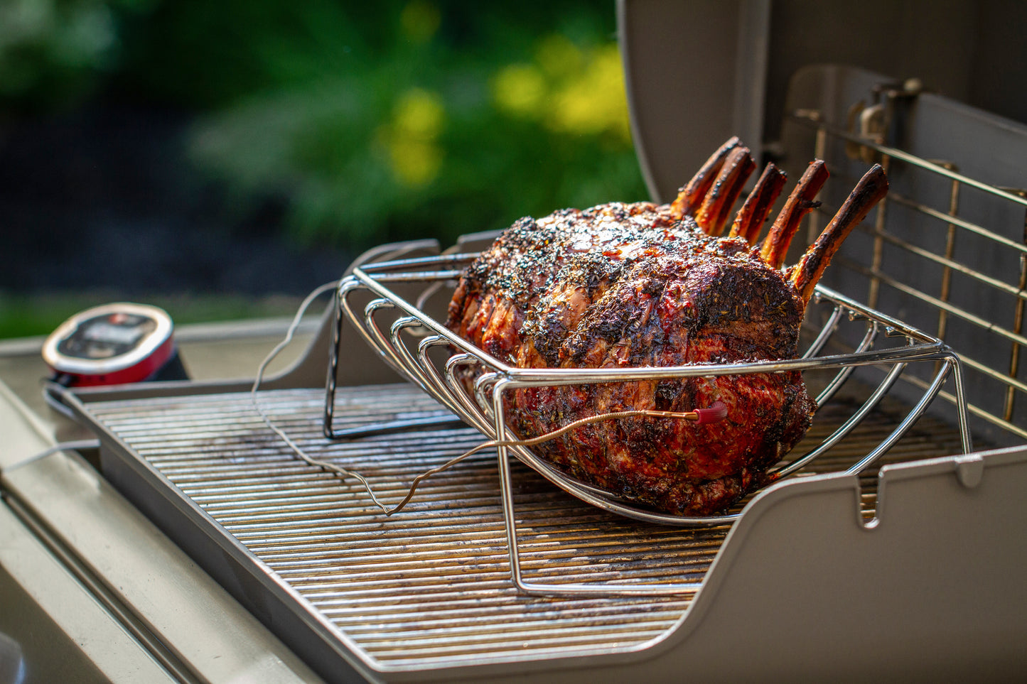 Weber Rib and Roast Holder