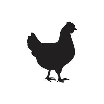 Chicken Rubs & Seasoning