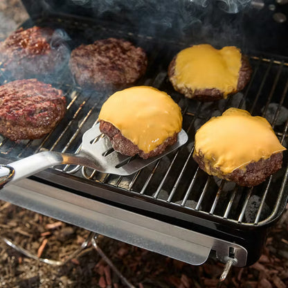 Weber Go-Anywhere Charcoal Grill