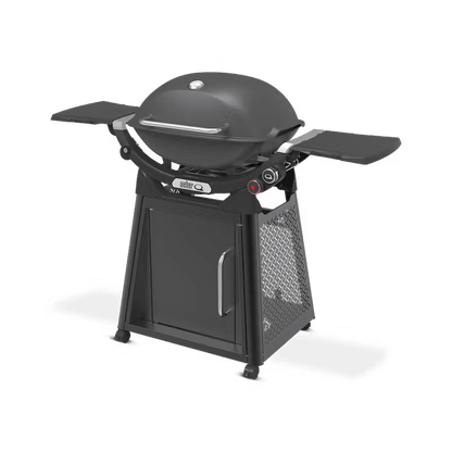 Weber Family Q3200N+