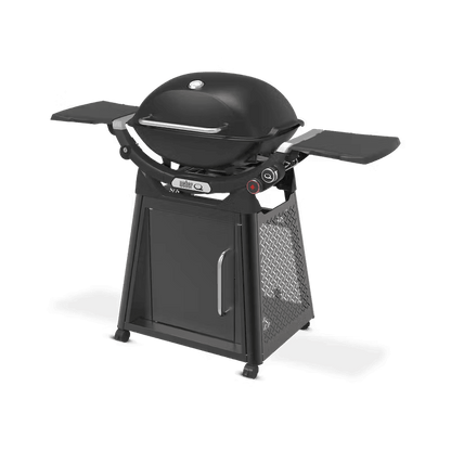 Weber Family Q3200N+