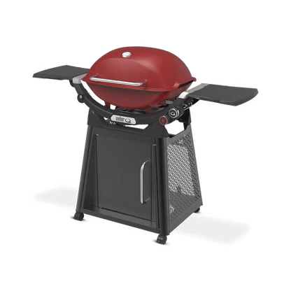 Weber Family Q3200N+