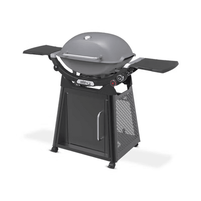 Weber Family Q3200N+