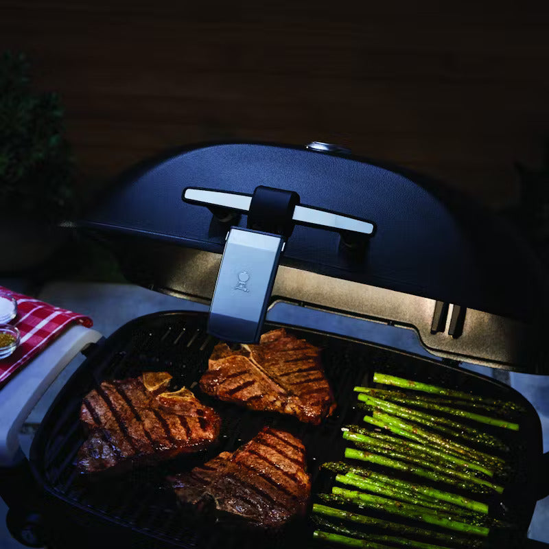 Weber Baby Q and Q Grill and Go Light