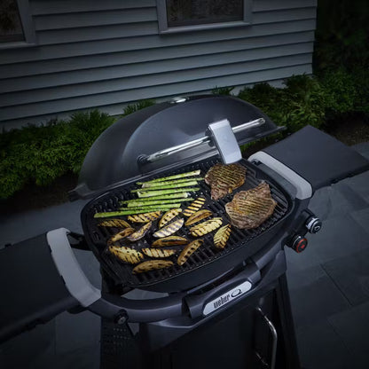 Weber Family Q/Traveler Grill and Go Light