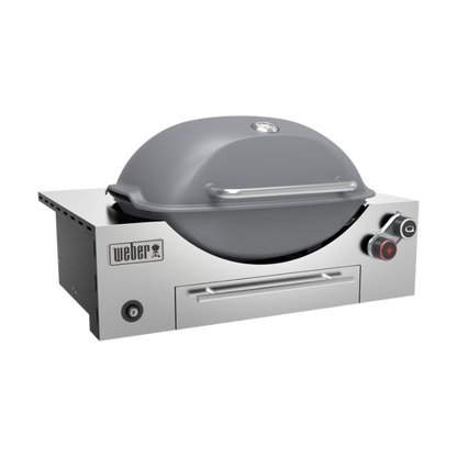 Weber Family Q3600N+ Built-In