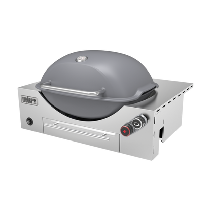 Weber Family Q3600N+ Built-In