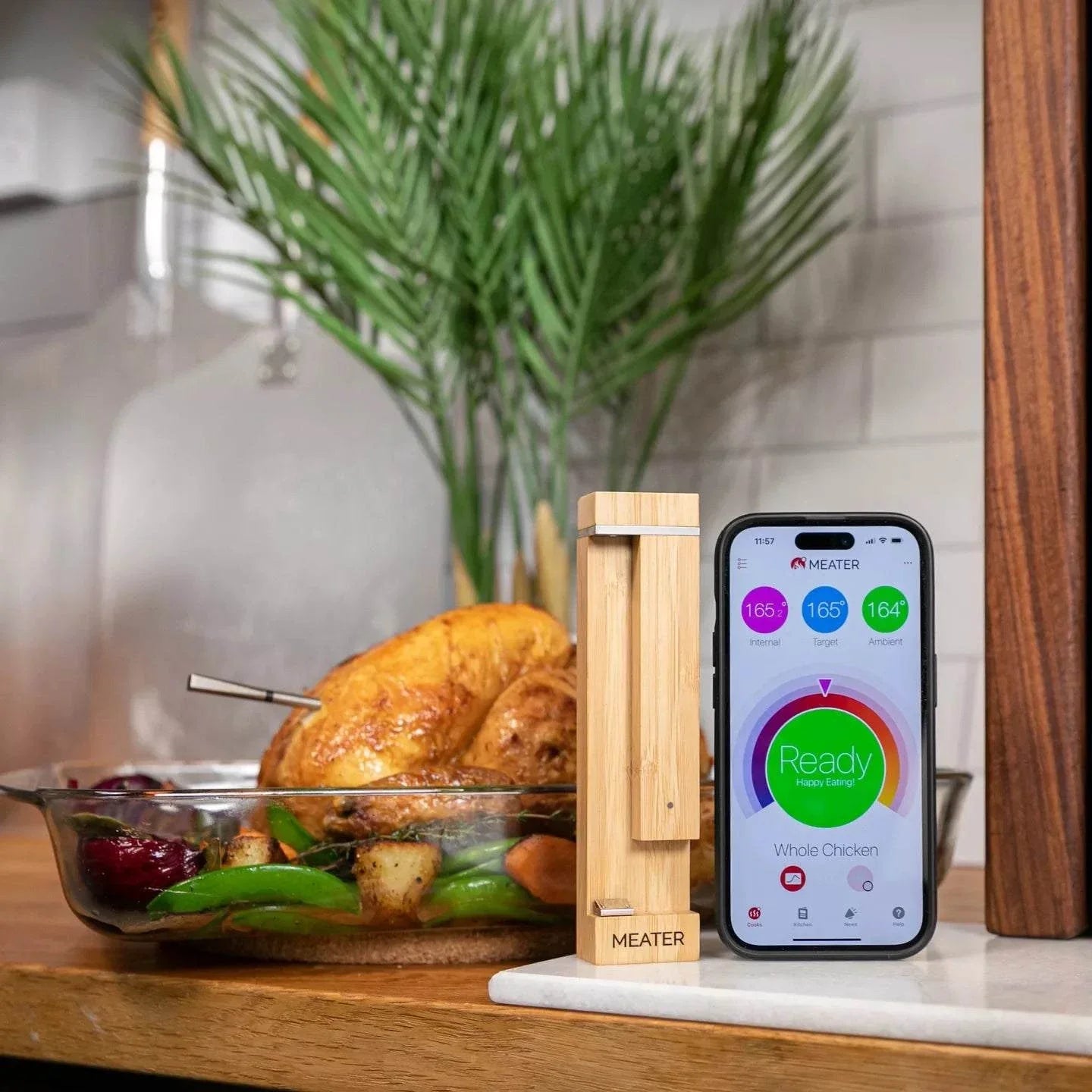 Meater Pro Wireless Meat Thermometer